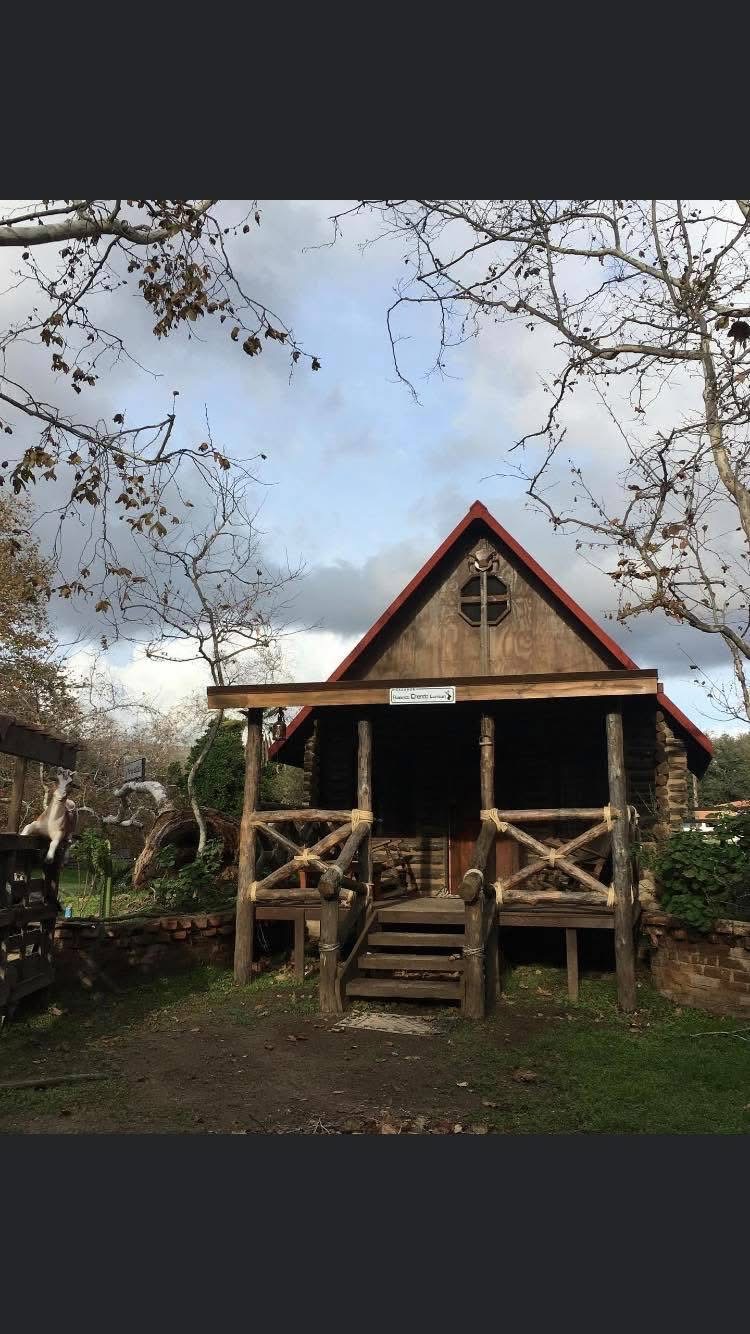 Cabaña de madera con techo rojo y fogatero de piedra