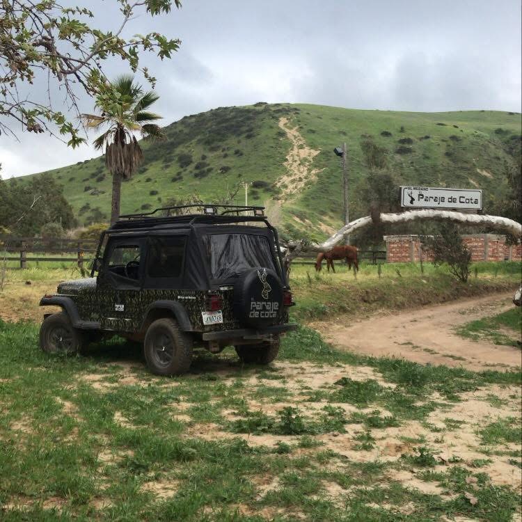 Cabaña tipo A-frame con porche rústico